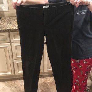 Dress pants greenish brown